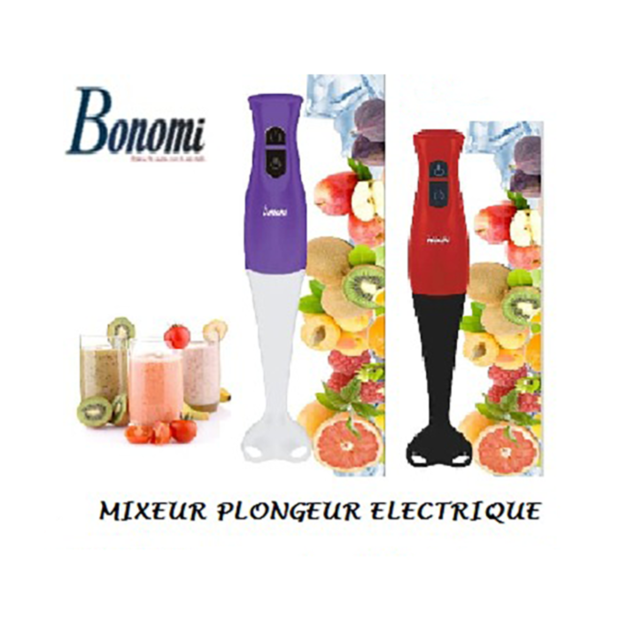 Mixeur Plongeur Electrique