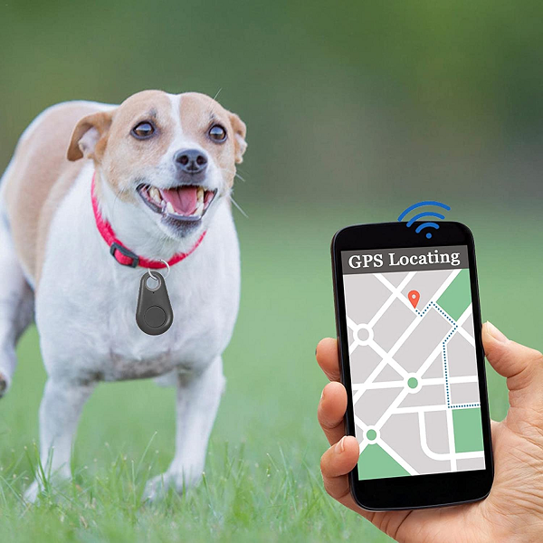 Appareil GPS Pour Localisation Clés, Animaux Et Autre