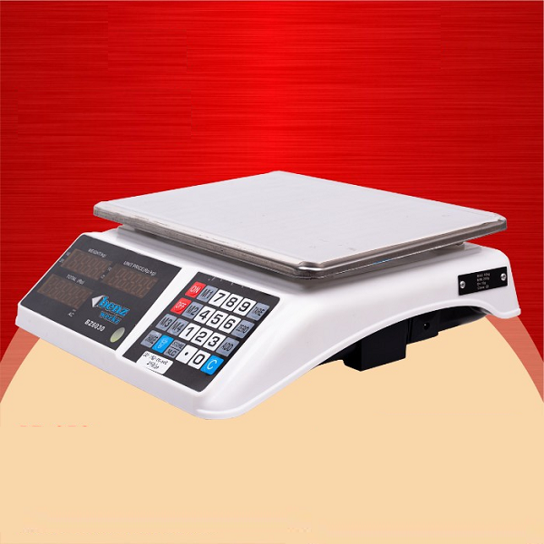 Balance Professionnelle Programme Prix