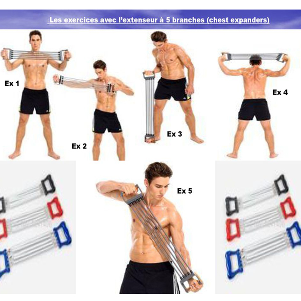 Extenseur De Musculation à Ressorts Multifonctionnel Extenseur De Musculation à Ressorts Multifonctionnel