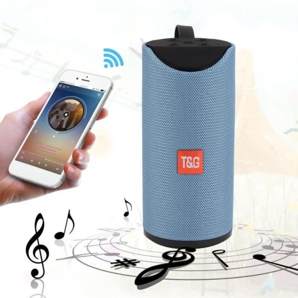Haut-Parleur Sans fil Bluetooth