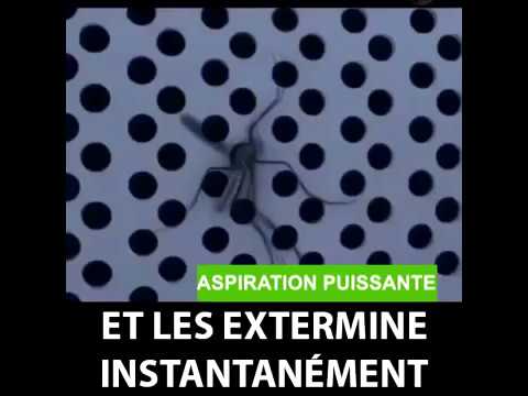 Lampe Anti-Moustique – Aspirateur À Moustique | PIÈGE À INSECTES VOLANTS PRODUIT NON-CHIMIQUE Lampe Anti-Moustique - Aspirateur À Moustique | PIÈGE À INSECTES VOLANTS PRODUIT NON-CHIMIQUE