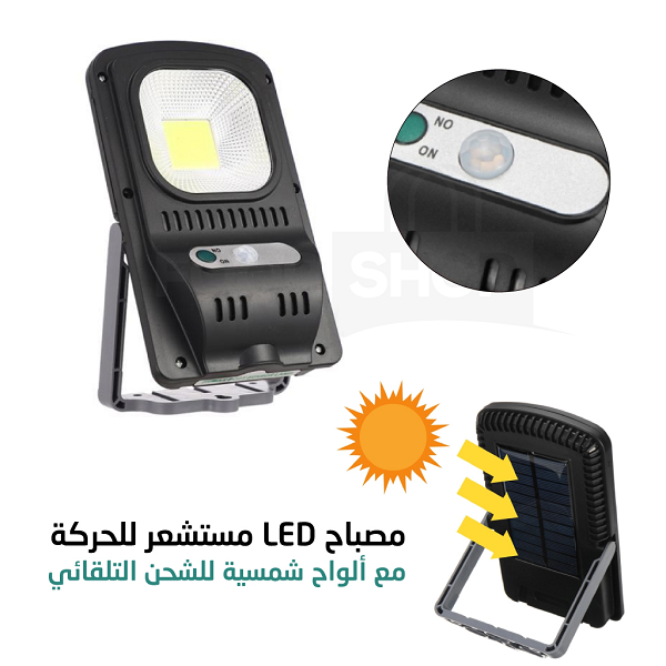 Projecteur Solaire  Avec Détecteur De Mouvement Waterproof