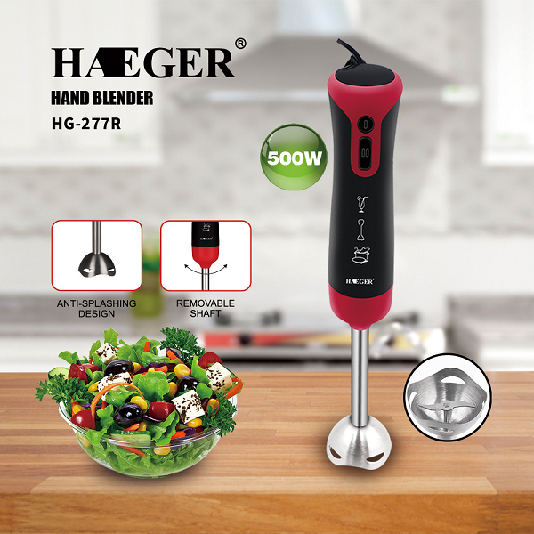 Mixeur Plongeant En Acier Inoxydable 500W Haeger