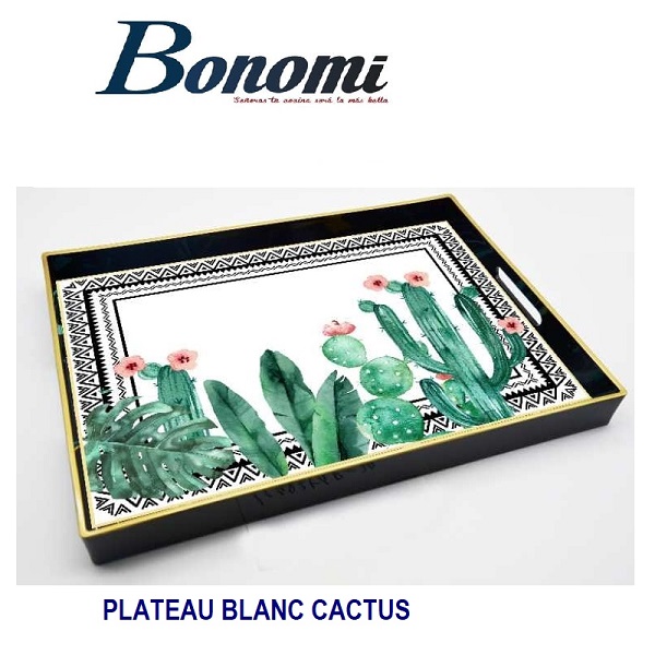 Plateau Blanc Cactus En Bois
