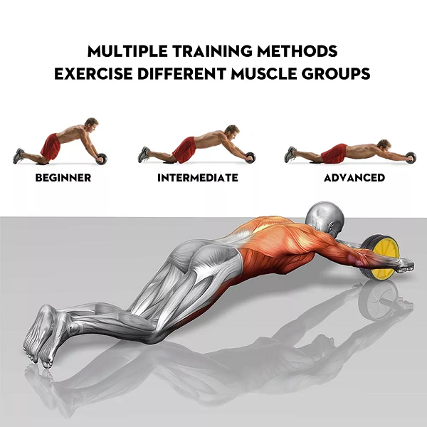 Roulette Abdos Et Musculation AB Wheel Roulette Abdos Et Musculation AB Wheel